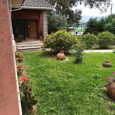 Vivenda Do Sobreiro Al Apartment Serpins ภายนอก รูปภาพ