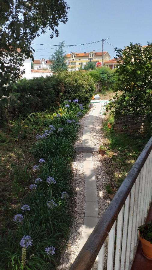 Vivenda Do Sobreiro Al Apartment Serpins ภายนอก รูปภาพ