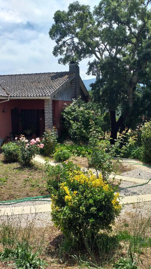 Vivenda Do Sobreiro Al Apartment Serpins ภายนอก รูปภาพ
