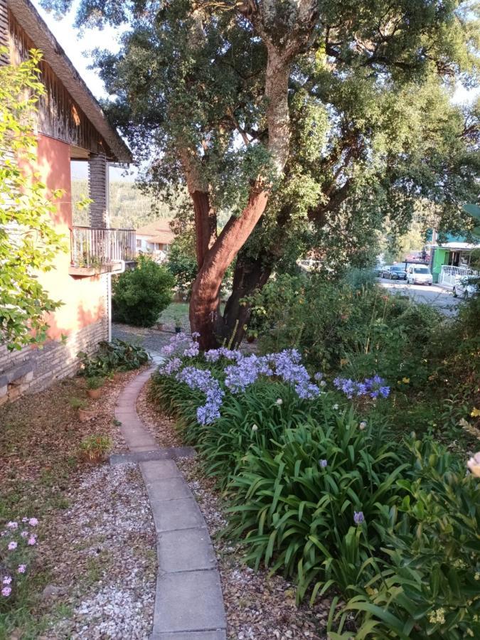 Vivenda Do Sobreiro Al Apartment Serpins ภายนอก รูปภาพ