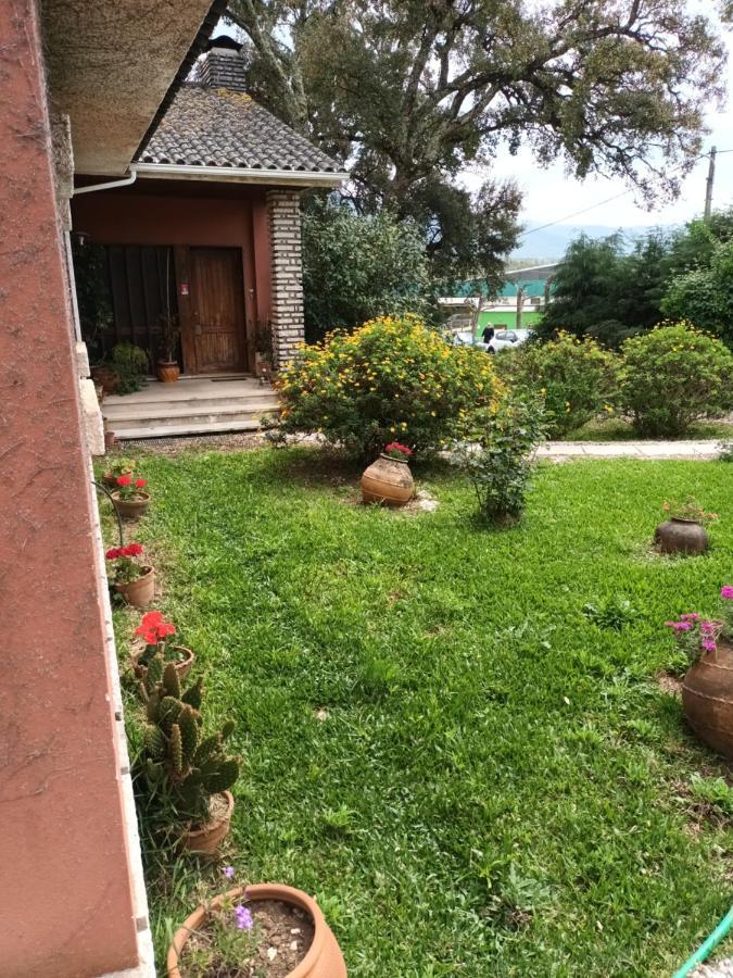 Vivenda Do Sobreiro Al Apartment Serpins ภายนอก รูปภาพ